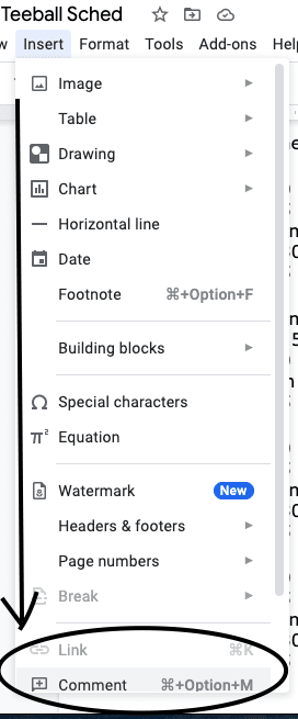 Google Docs Insert Comment Menu