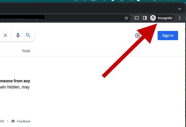 Google Chrome Incognito Window Icon