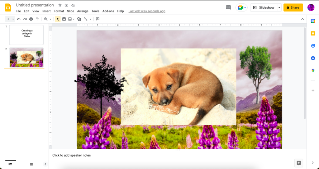 Google Slides Collage Taking Shape