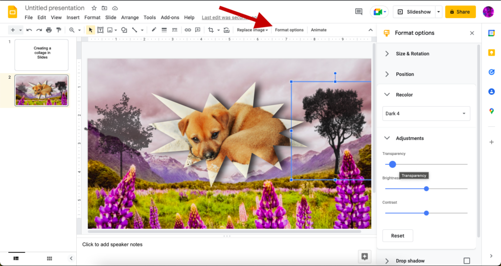 Using Google Slides Format Options