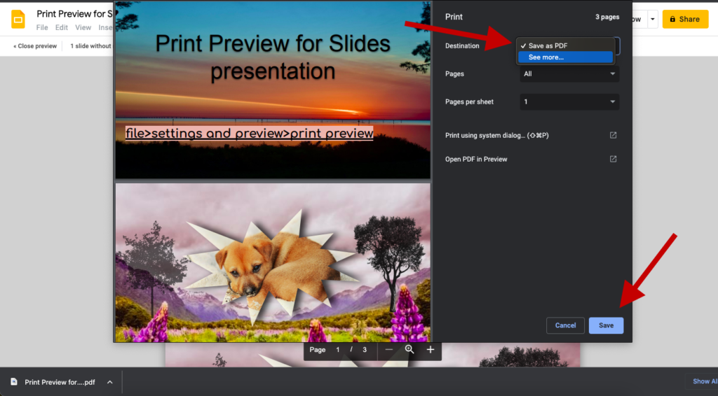 Google Slides Save As Pdf Print Dialog